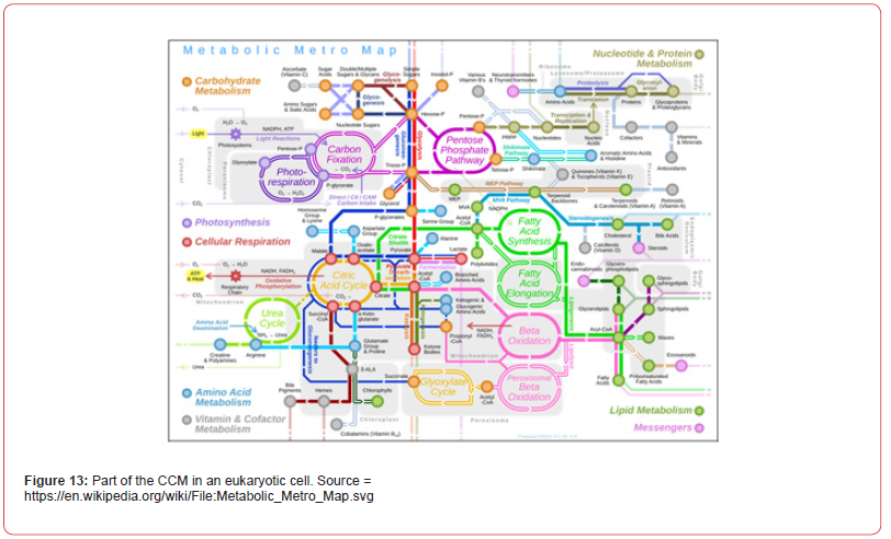 Click here to view Large Figure 13 irispublishers-openaccess-biomedical-engineering-biotechnology