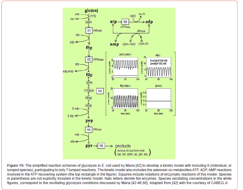 Click here to view Large Figure 19 irispublishers-openaccess-biomedical-engineering-biotechnology
