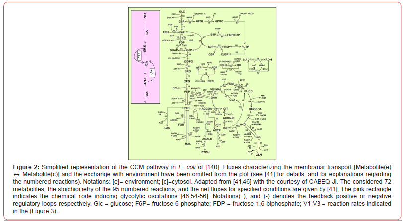 Click here to view Large Figure 2 irispublishers-openaccess-biomedical-engineering-biotechnology