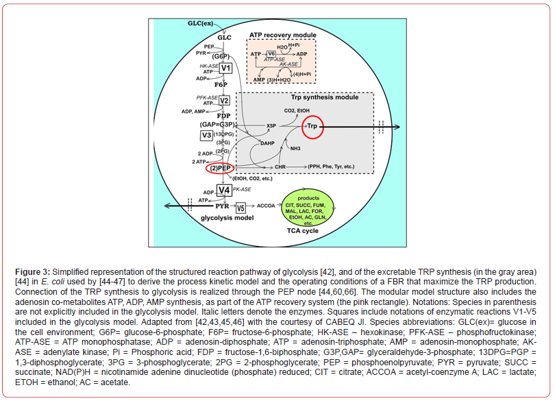 Click here to view Large Figure 3 irispublishers-openaccess-biomedical-engineering-biotechnology