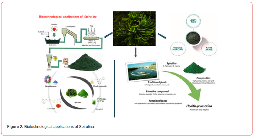 Click here to view Large Figure 2 irispublishers-openaccess-biomedical-engineering-biotechnology