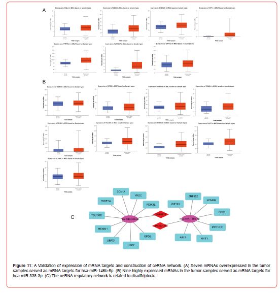 Click here to view Large Figure 11 irispublishers-openaccess-clinical-case-studies