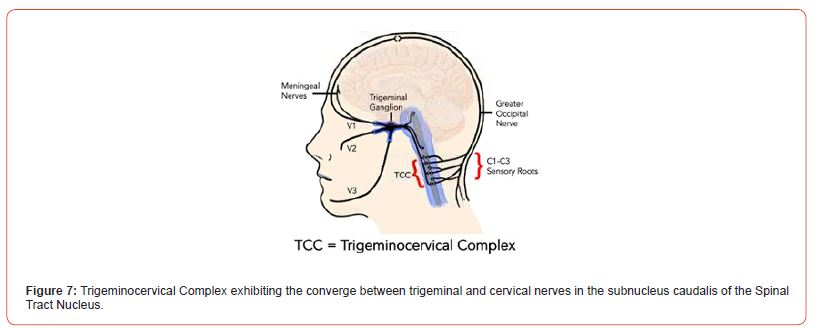 Click here to view Large Figure 7 irispublishers-openaccess-sports-science-medicine