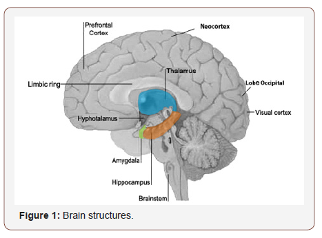 irispublishers-openaccess-neurology-neuroscience