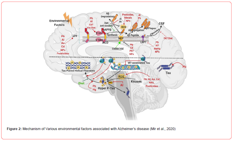 Click here to view Large Figure 2 irispublishers-openaccess-neurology-neuroscience