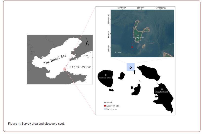 Click here to view Large Figure 1 irispublishers-openaccess-oceanography-marine-biology