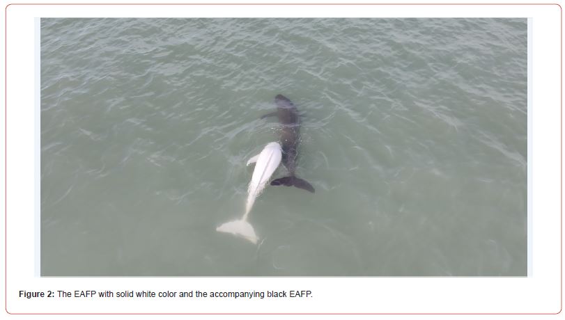 Click here to view Large Figure 2 irispublishers-openaccess-oceanography-marine-biology