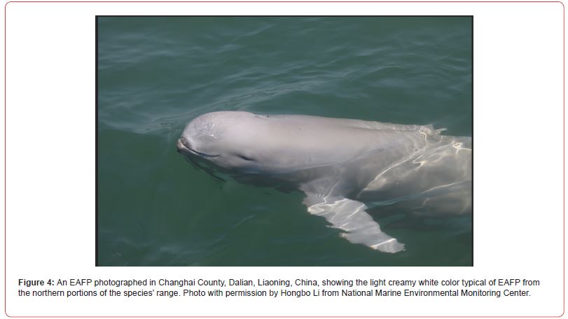 Click here to view Large Figure 4 irispublishers-openaccess-oceanography-marine-biology