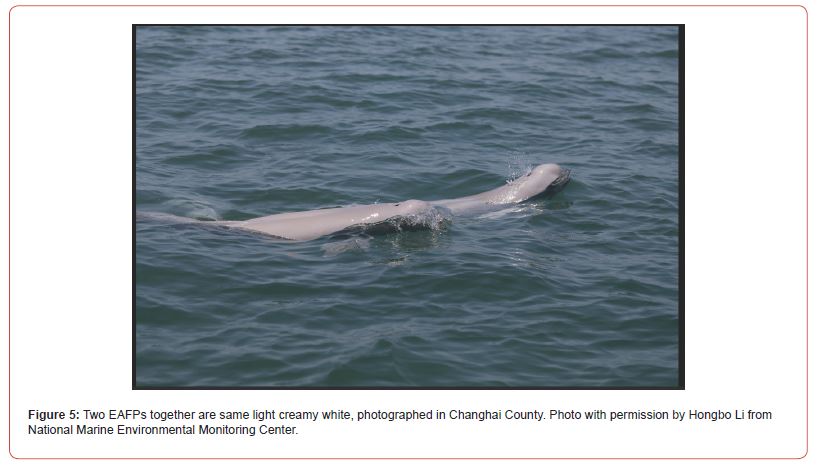 Click here to view Large Figure 5 irispublishers-openaccess-oceanography-marine-biology