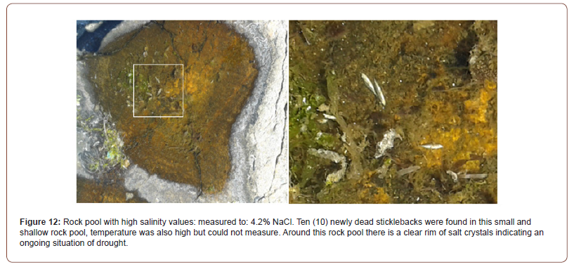 Click here to view Large Figure 12 irispublishers-openaccess-oceanography-marine-biology