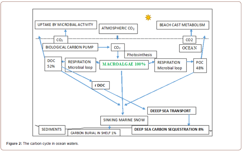 Click here to view Large Figure 2 irispublishers-openaccess-oceanography-marine-biology