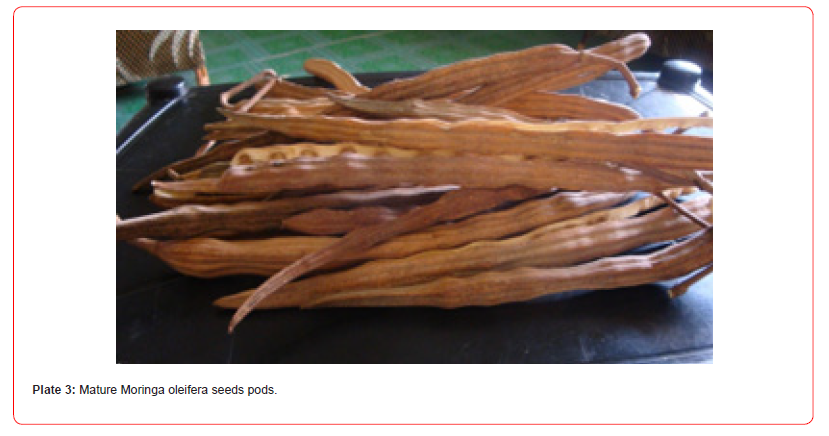 Click here to view Large Plate 3 irispublishers-openaccess-public-health-epidemiology