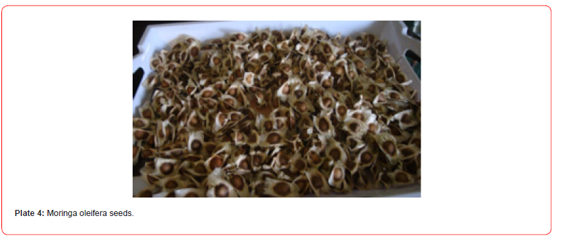 Click here to view Large Plate 4 irispublishers-openaccess-public-health-epidemiology