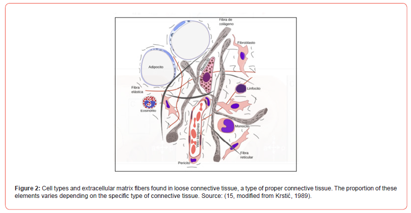 Click here to view Large Figure 2 irispublishers-openaccess-Anatomy-Physiology