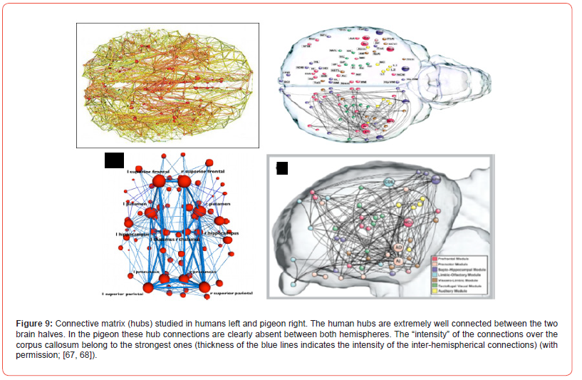 Click here to view Large Figure 9 irispublishers-openaccess-Anatomy-Physiology
