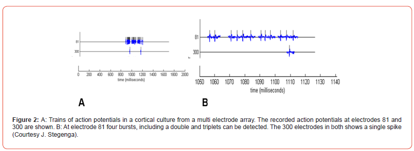 Click here to view Large Figure 2 irispublishers-openaccess-Anatomy-Physiology