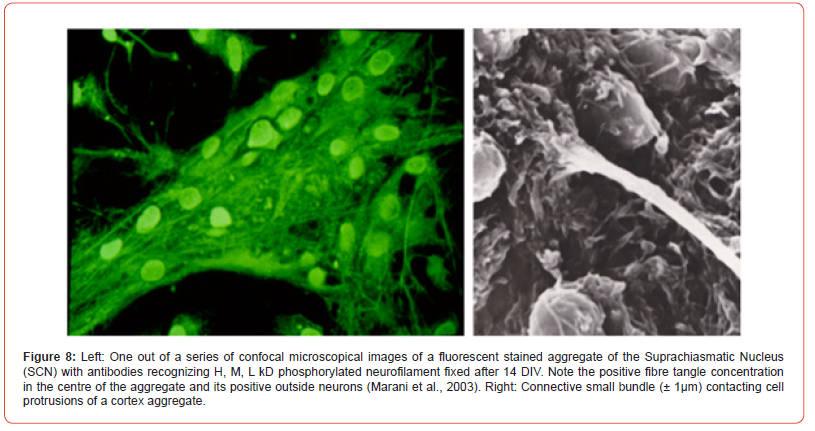Click here to view Large Figure 8 irispublishers-openaccess-Anatomy-Physiology
