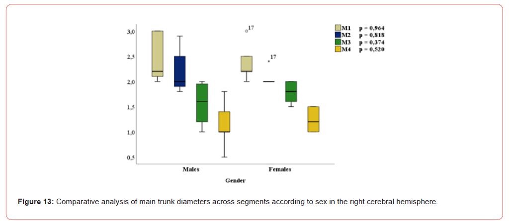 Click here to view Large Figure 13 irispublishers-openaccess-Anatomy-Physiology