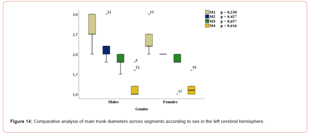 Click here to view Large Figure 14 irispublishers-openaccess-Anatomy-Physiology