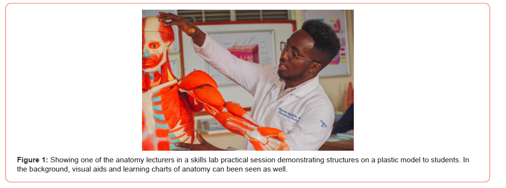 Click here to view Large Figure 1 irispublishers-openaccess-Anatomy-Physiology