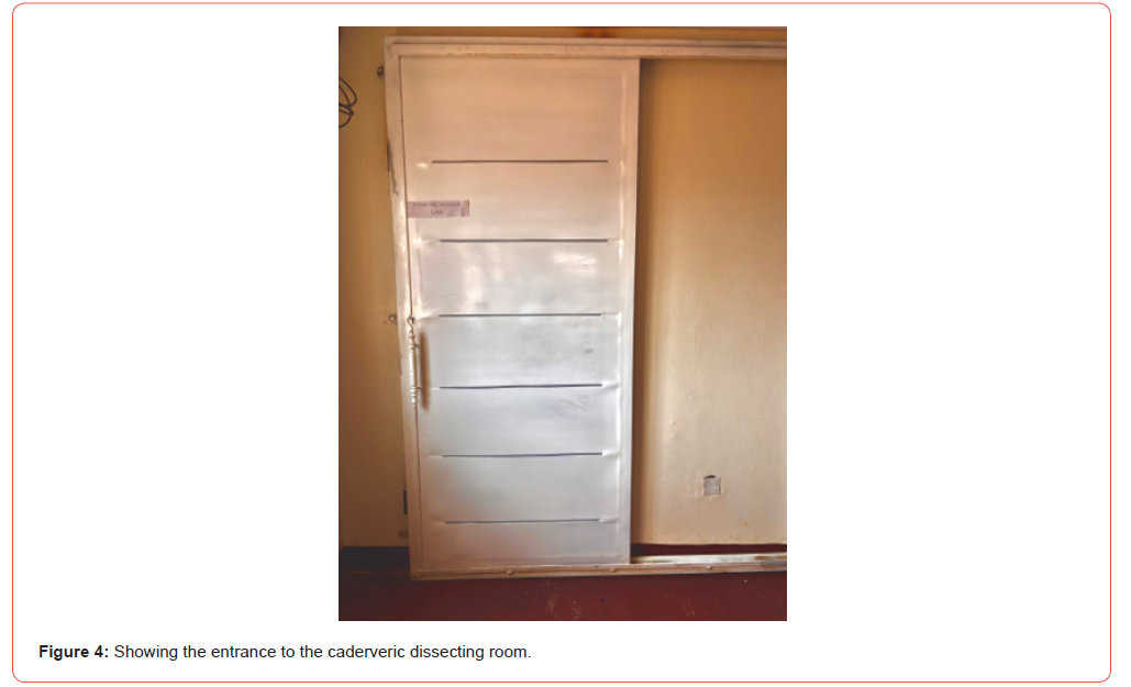 Click here to view Large Figure 4 irispublishers-openaccess-Anatomy-Physiology