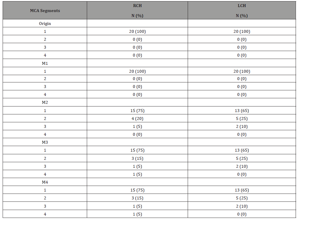 Click here to view Large Table 2 irispublishers-openaccess-Anatomy-Physiology