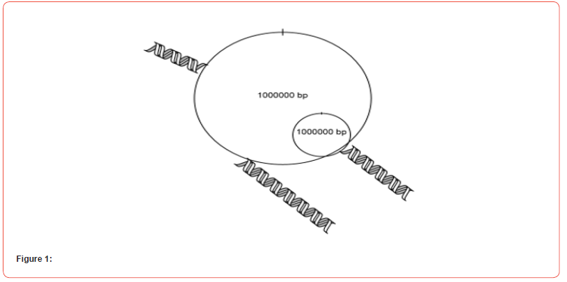Click here to view Large Figure 1 irispublishers-openaccess-pharmacy-pharmacology
