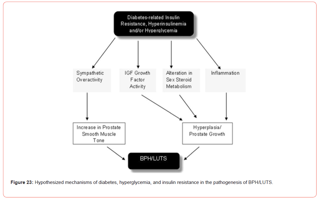 Click here to view Large Figure 23 irispublishers-openaccess-urology-nephrology