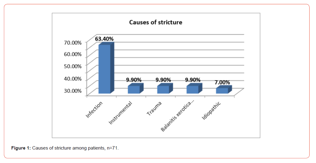 Click here to view Large Figure 1 irispublishers-openaccess-urology-nephrology