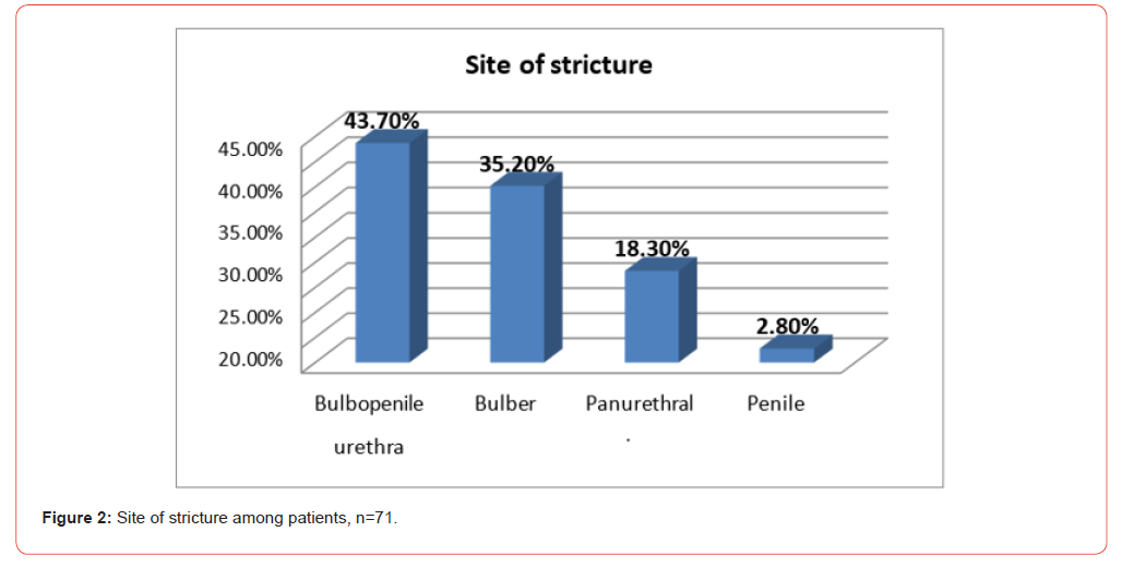 Click here to view Large Figure 2 irispublishers-openaccess-urology-nephrology