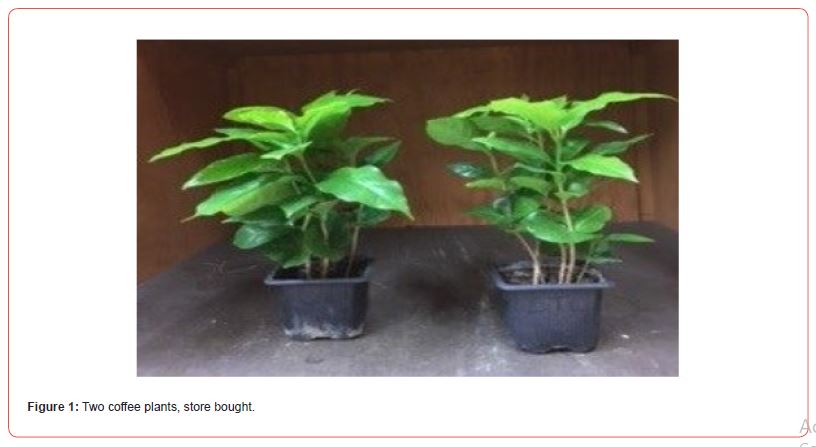 Click here to view Large Figure 1 irispublishers-openaccess-aging-geriatric-research