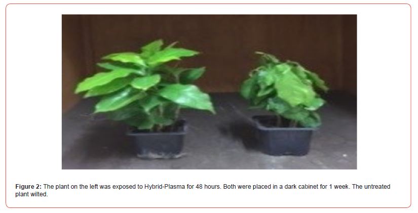 Click here to view Large Figure 2 irispublishers-openaccess-aging-geriatric-research