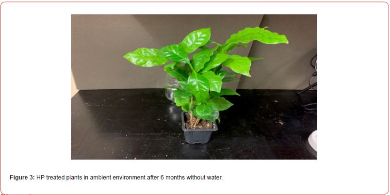 Click here to view Large Figure 3 irispublishers-openaccess-aging-geriatric-research