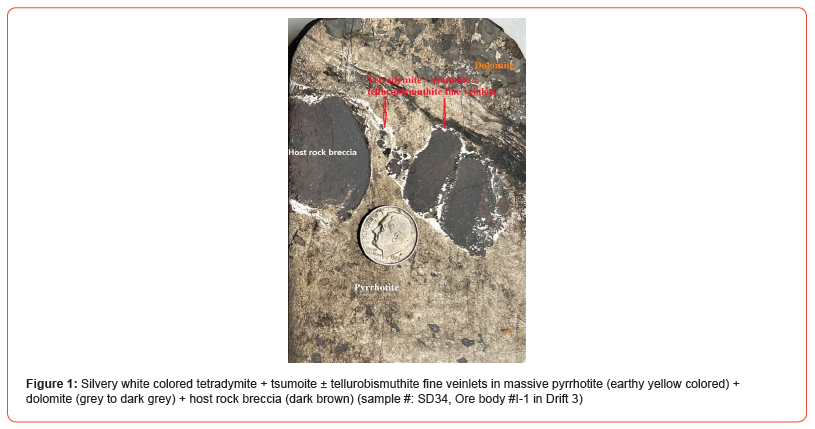 Click here to view Large Figure 1 irispublishers-online-journal-of-sciences