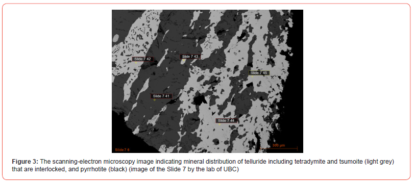 Click here to view Large Figure 3 irispublishers-online-journal-of-sciences
