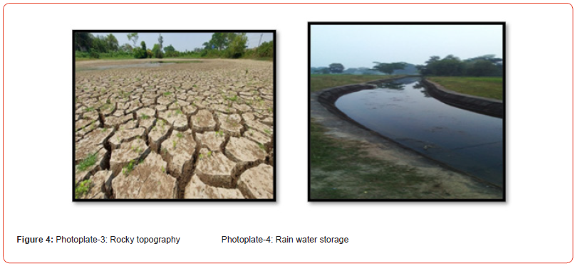 Click here to view Large Figure 4 irispublishers-online-journal-of-sciences