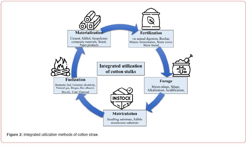 Click here to view Large Figure 2 irispublishers-openaccess-textile-science-fashion