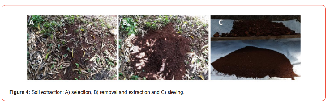 Click here to view Large Figure 4 irispublishers-openaccess-archaeology-anthropology