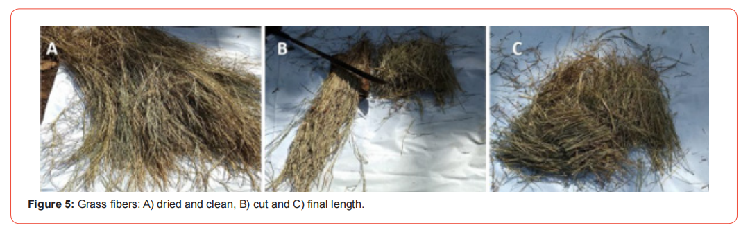 Click here to view Large Figure 5 irispublishers-openaccess-archaeology-anthropology