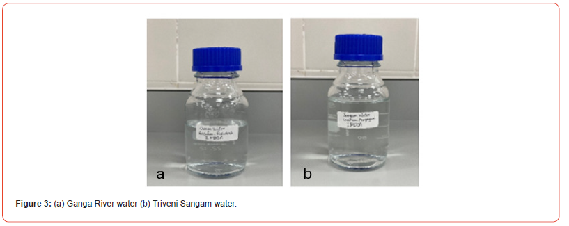 Click here to view Large Figure 3 irispublishers-open-journal-of-pathology-toxicology-research