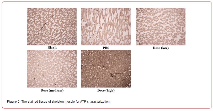 Click here to view Large Figure 5 irispublishers-openaccess-biology-life-science