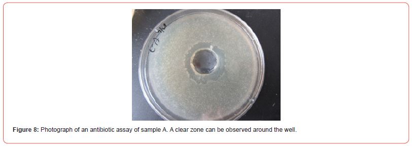 Click here to view Large Figure 8 irispublishers-openaccess-biology-life-science