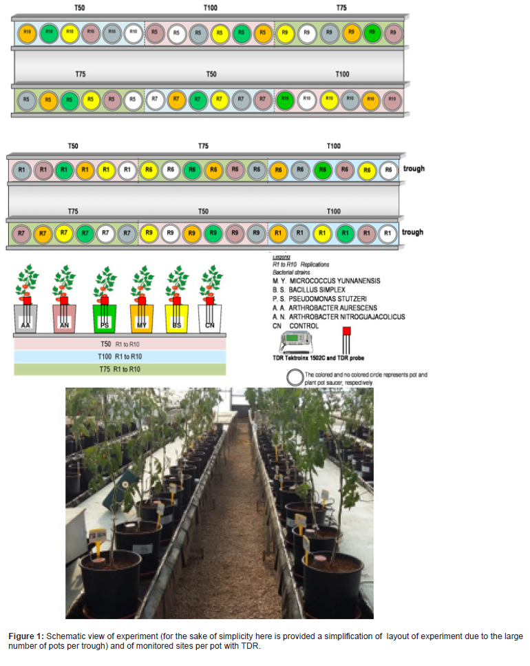 Click here to view Large Figure 1 irispublishers-openaccess-agriculture-soil-science