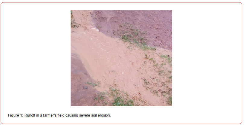 Click here to view Large Figure 1 irispublishers-openaccess-agriculture-soil-science