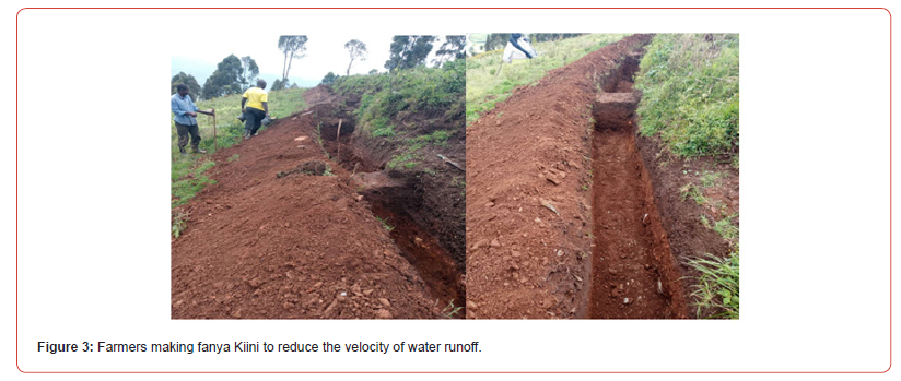 Click here to view Large Figure 3 irispublishers-openaccess-agriculture-soil-science