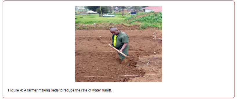 Click here to view Large Figure 4 irispublishers-openaccess-agriculture-soil-science