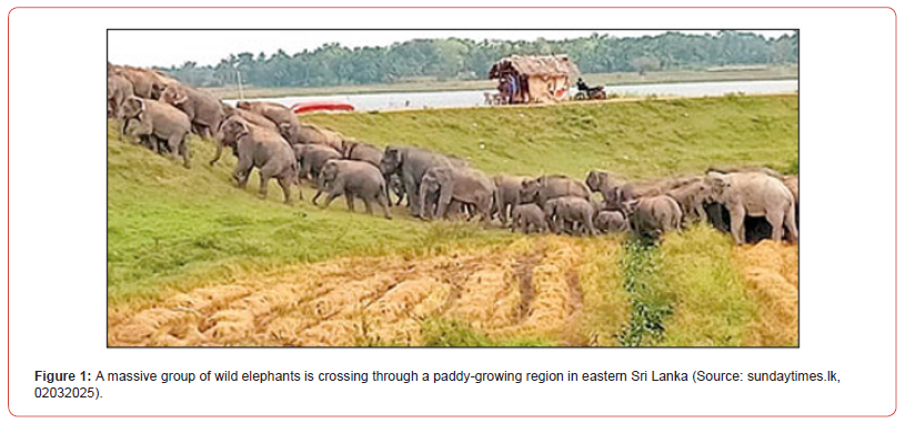 Click here to view Large Figure 1 irispublishers-openaccess-agriculture-soil-science