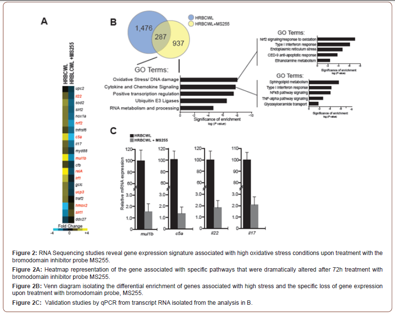 Click here to view Large Figure 2 irispublishers-openaccess-ophthalmology-vision-research