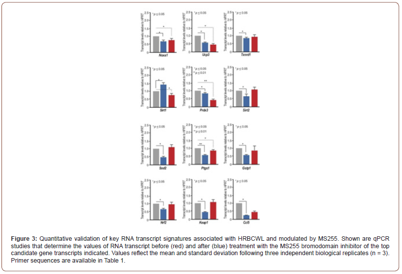 Click here to view Large Figure 3 irispublishers-openaccess-ophthalmology-vision-research